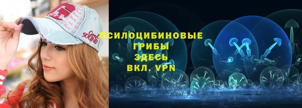 мдма Новозыбков