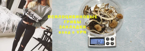 таблы Новодвинск