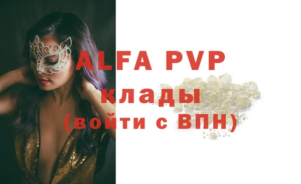 таблы Новодвинск