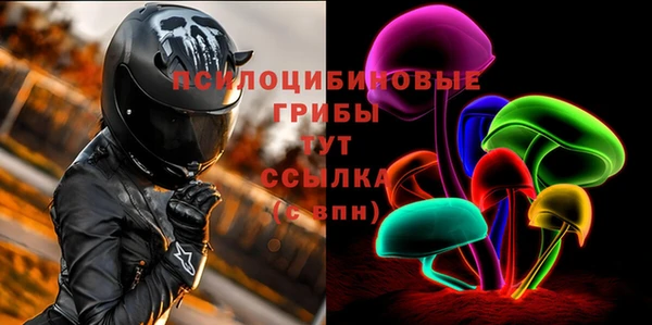 мдма Новозыбков