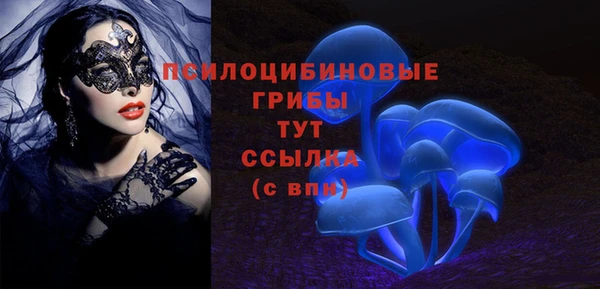 мдма Новозыбков
