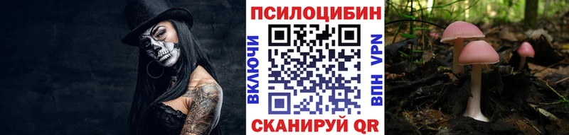 площадка наркотические препараты Боготол Галлюциногенные грибы ЛСД закладки