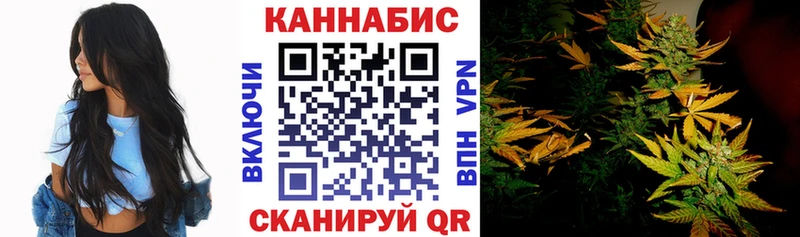 дарнет шоп  Боготол  Марихуана White Widow 