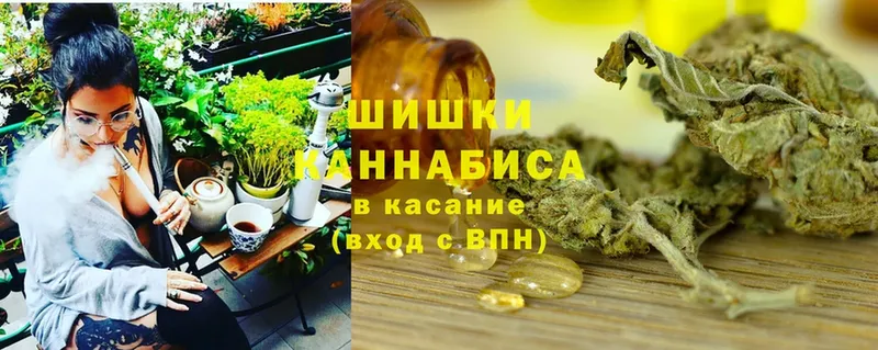 купить наркотики сайты  Боготол  сайты даркнета состав  Канабис THC 21% 